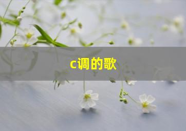 c调的歌