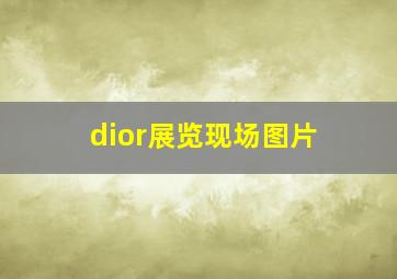 dior展览现场图片