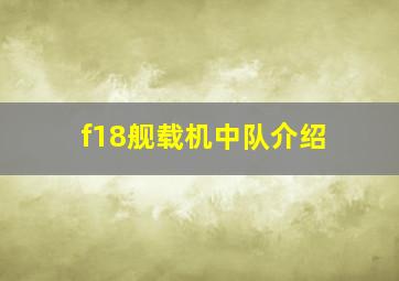 f18舰载机中队介绍