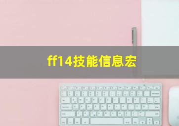 ff14技能信息宏