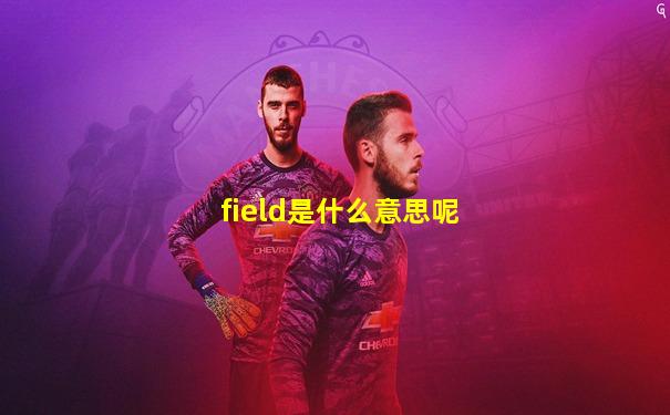 field是什么意思呢