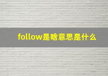 follow是啥意思是什么