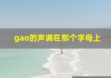 gao的声调在那个字母上