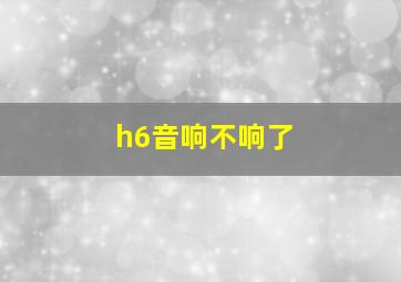 h6音响不响了