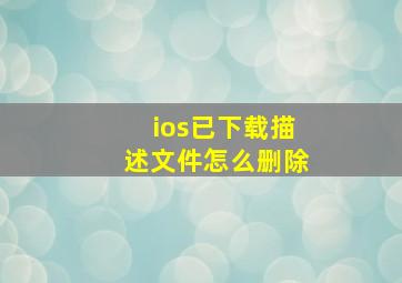 ios已下载描述文件怎么删除