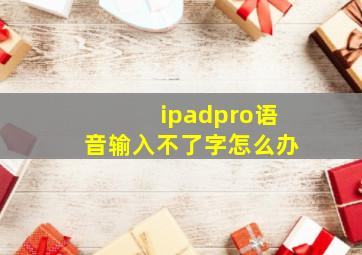 ipadpro语音输入不了字怎么办