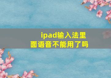 ipad输入法里面语音不能用了吗