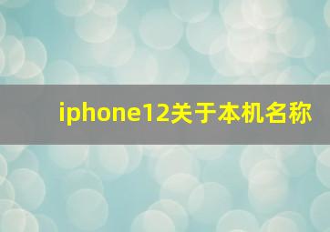 iphone12关于本机名称