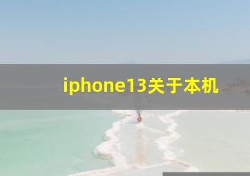 iphone13关于本机