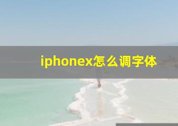 iphonex怎么调字体