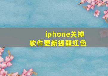 iphone关掉软件更新提醒红色