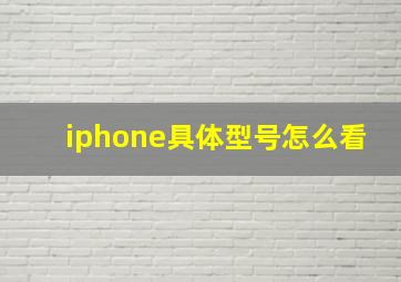 iphone具体型号怎么看