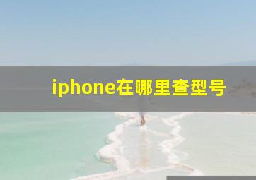 iphone在哪里查型号