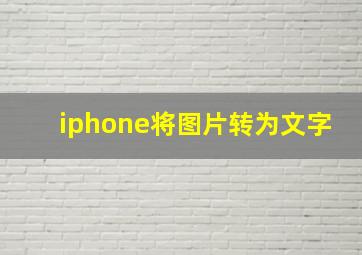 iphone将图片转为文字