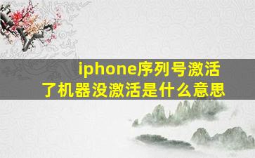 iphone序列号激活了机器没激活是什么意思