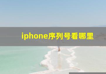 iphone序列号看哪里