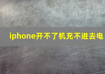 iphone开不了机充不进去电