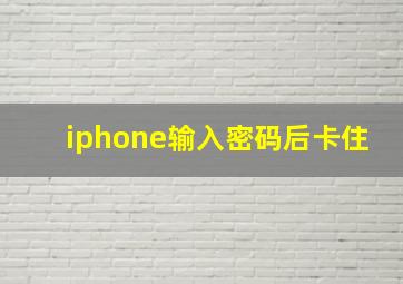 iphone输入密码后卡住