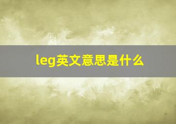 leg英文意思是什么