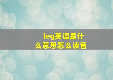 leg英语是什么意思怎么读音