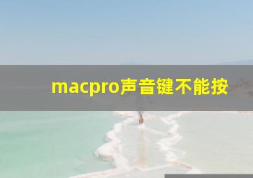 macpro声音键不能按