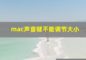 mac声音键不能调节大小