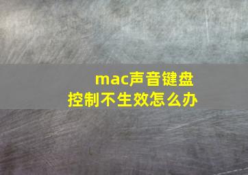 mac声音键盘控制不生效怎么办