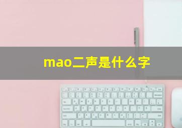 mao二声是什么字