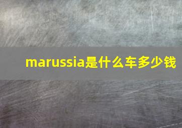 marussia是什么车多少钱