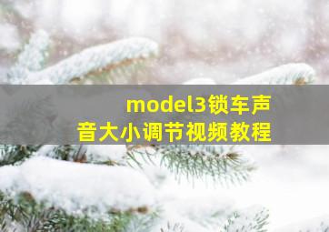 model3锁车声音大小调节视频教程