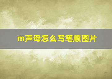 m声母怎么写笔顺图片