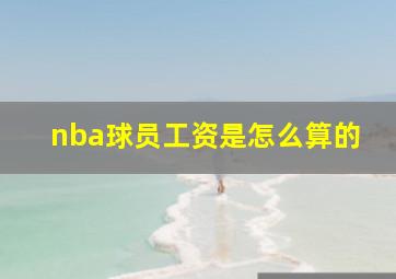 nba球员工资是怎么算的