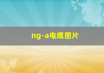 ng-a电缆图片