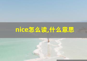 nice怎么读,什么意思