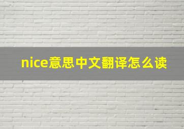 nice意思中文翻译怎么读