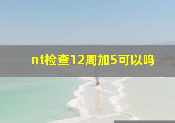 nt检查12周加5可以吗