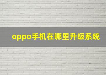 oppo手机在哪里升级系统