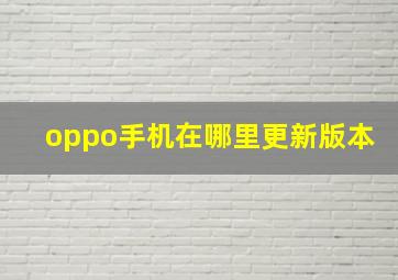 oppo手机在哪里更新版本