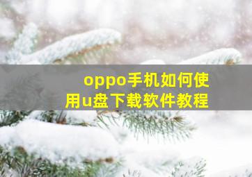 oppo手机如何使用u盘下载软件教程