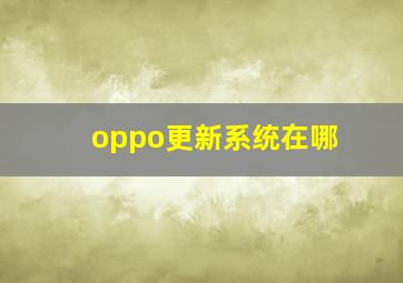 oppo更新系统在哪