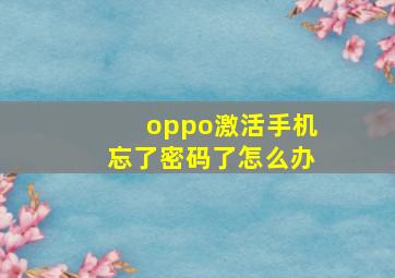 oppo激活手机忘了密码了怎么办