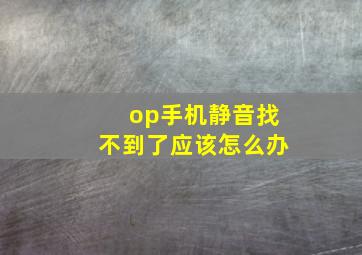 op手机静音找不到了应该怎么办