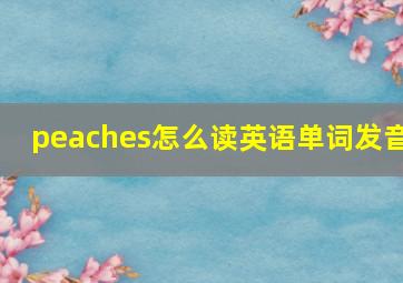 peaches怎么读英语单词发音