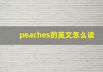 peaches的英文怎么读