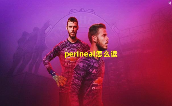 perineal怎么读