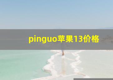 pinguo苹果13价格