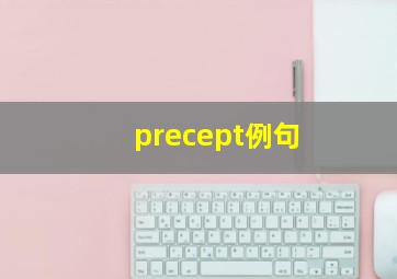 precept例句