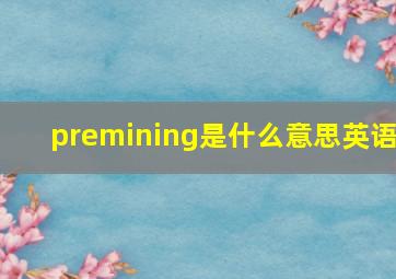 premining是什么意思英语