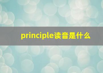 principle读音是什么