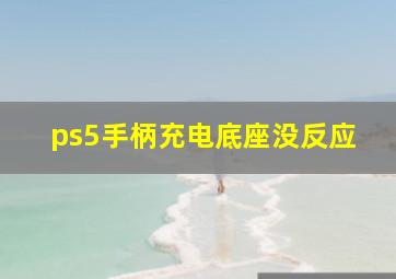 ps5手柄充电底座没反应